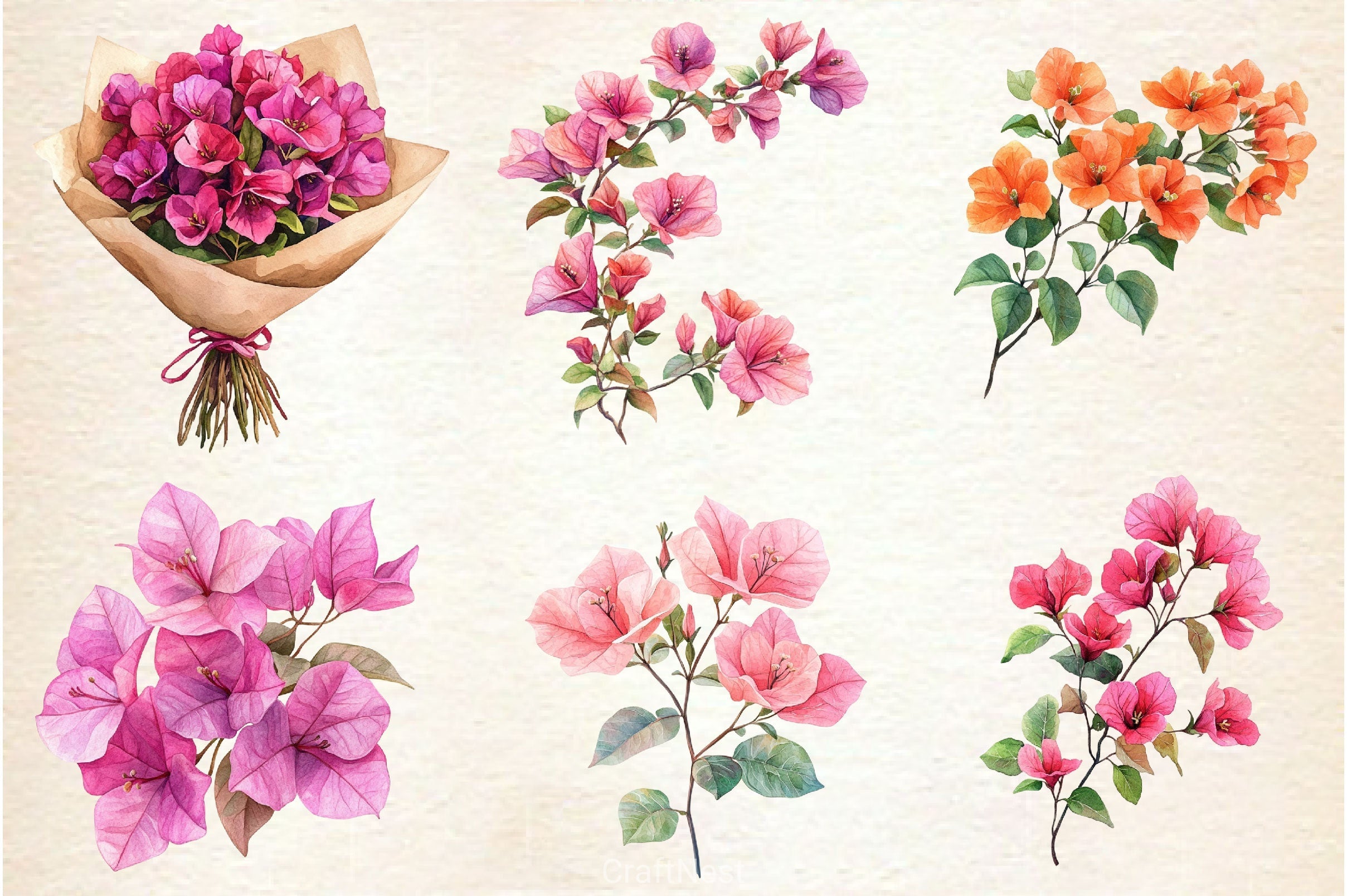 Bougainvillea Flower Clipart Bundle 4