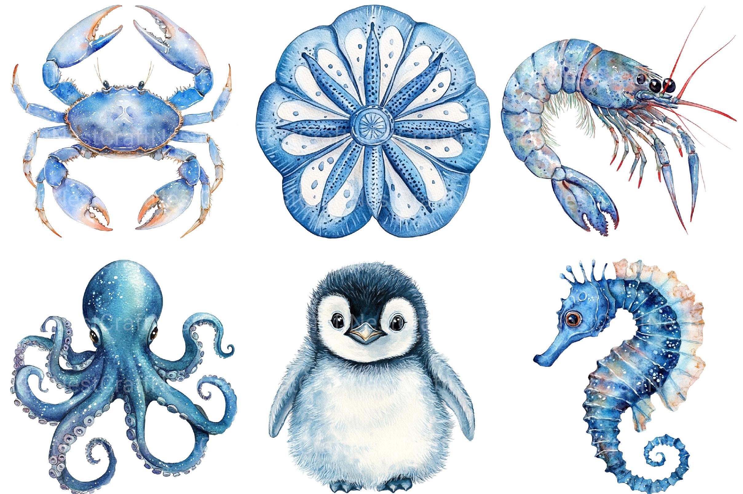 Blue Ocean Animals Clipart