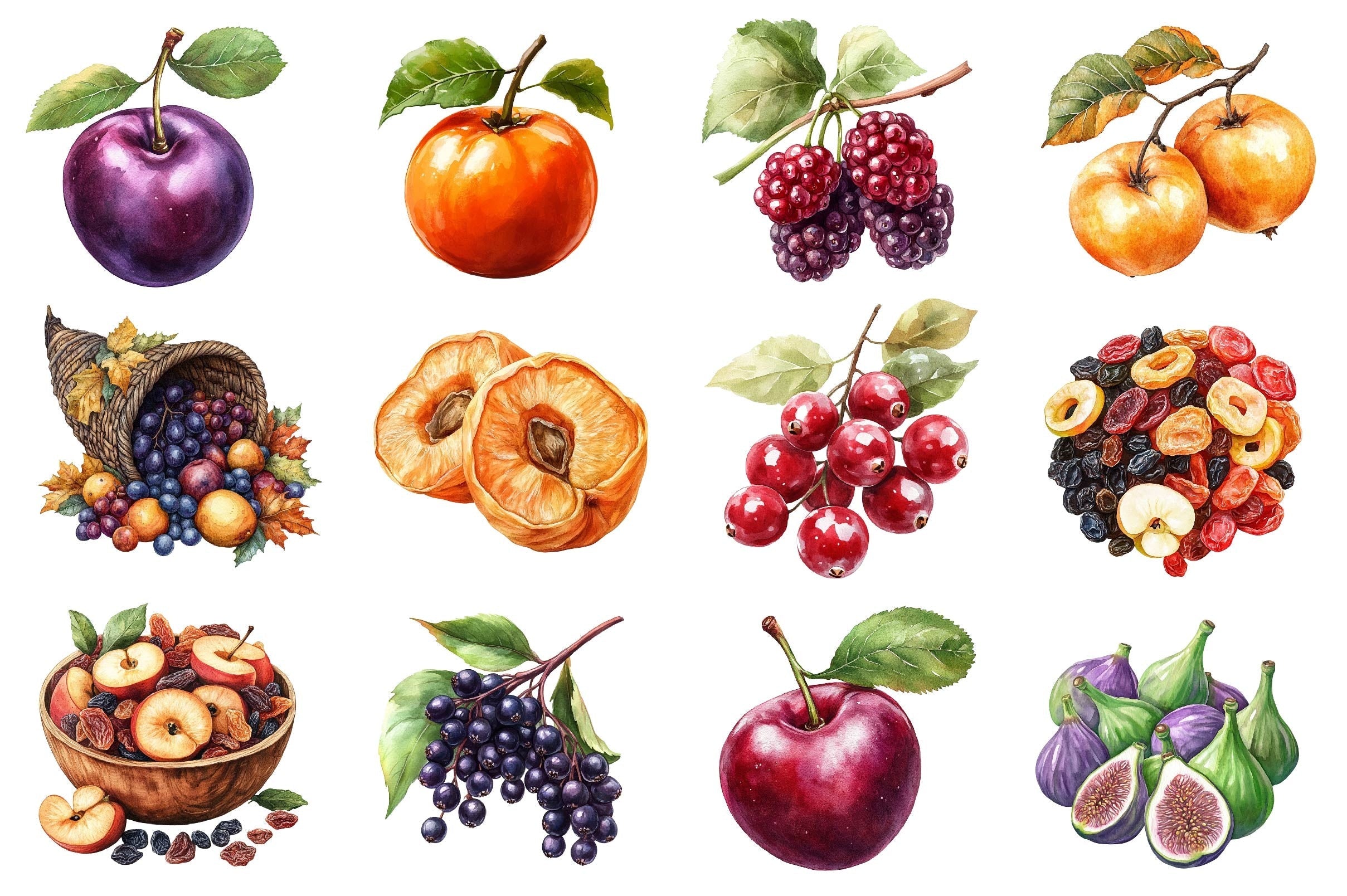 Autumn Fruits Clipart Bundle 5