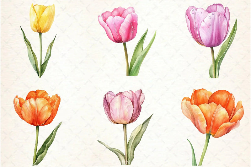 Tulip Clipart Bundle - CraftNest - Digital Crafting and Art