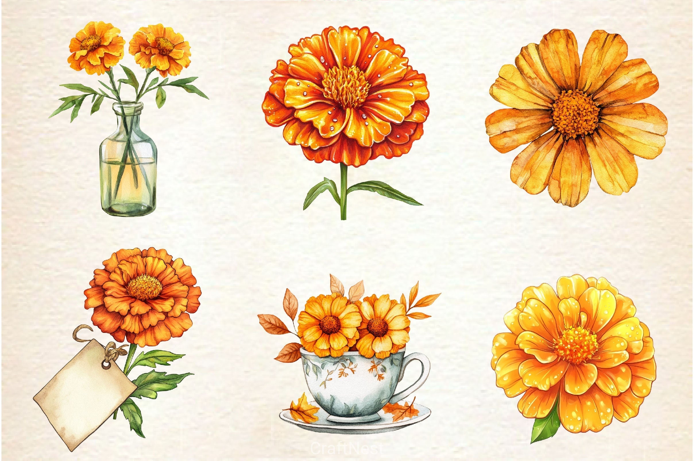 Fall Marigold Clipart Bundle 2