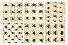 Halloween Spiders Digital Paper Pack - CraftNest - Digital Crafting and Art