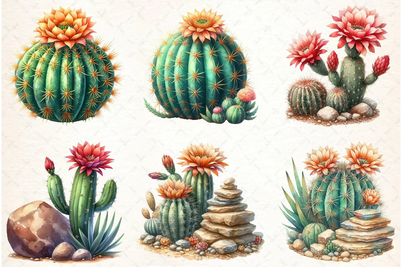 Cactus Clipart Bundle 4 - CraftNest - Digital Crafting and Art