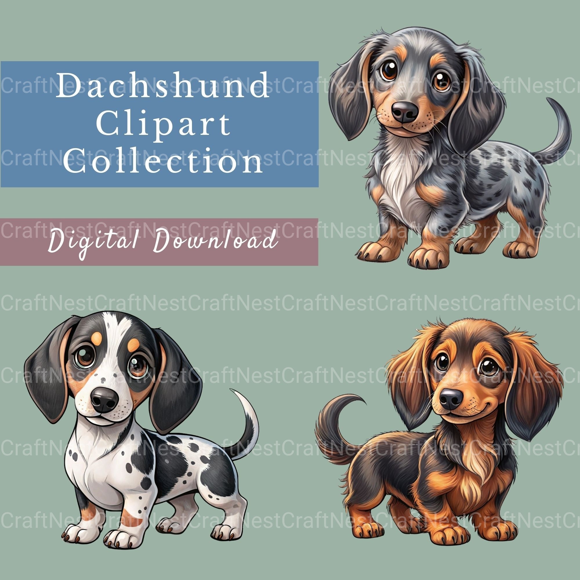 Dachshunds Clipart Bundle