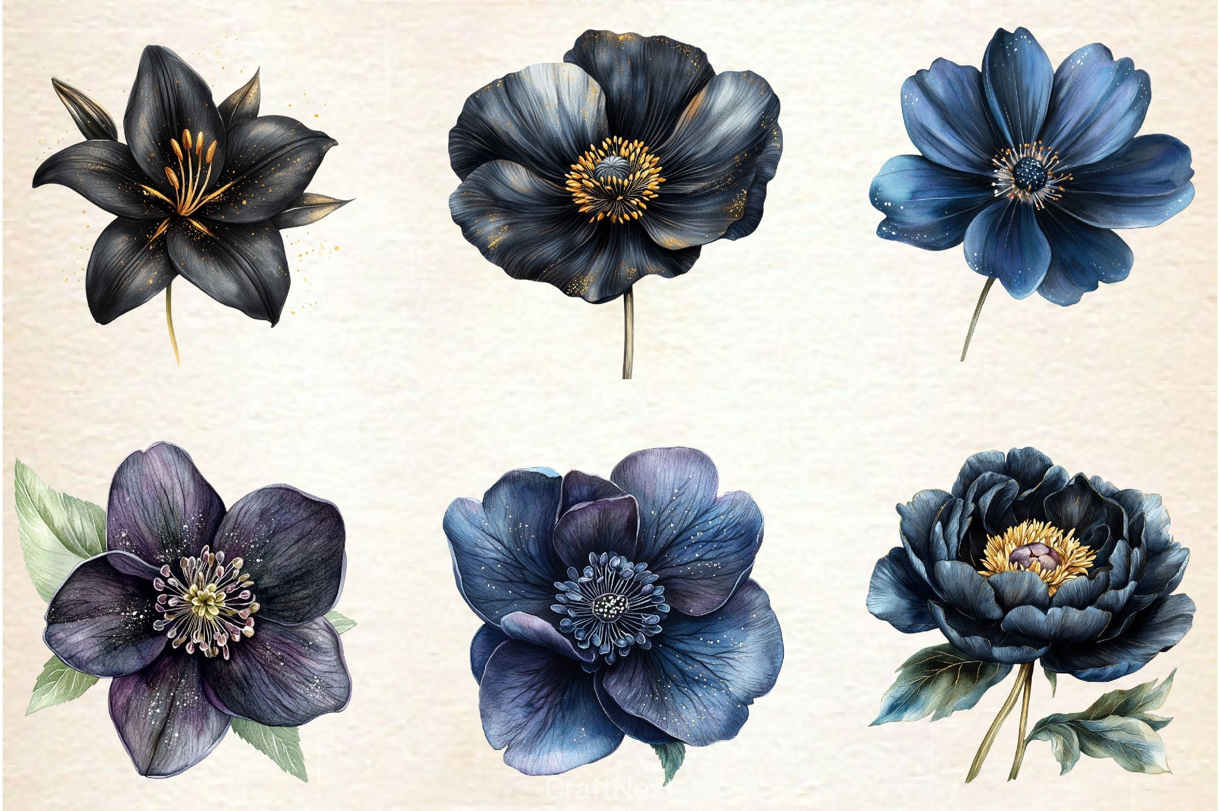 Glitter Luxury Black Spring Flower Clipart Bundle 2