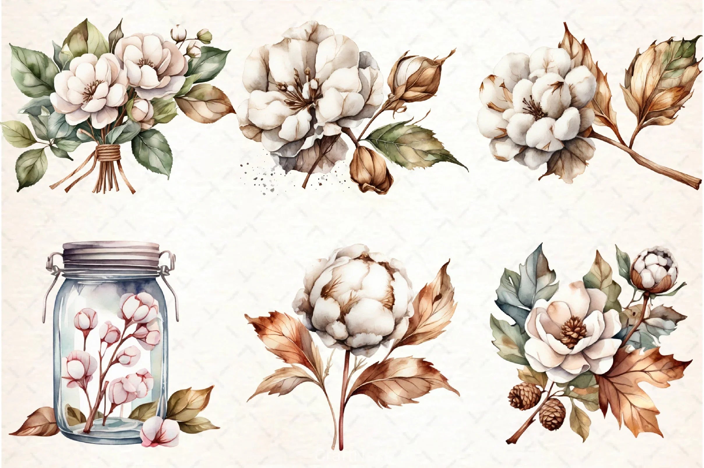 Cotton Flower Clipart Bundle 2 - CraftNest - Digital Crafting and Art