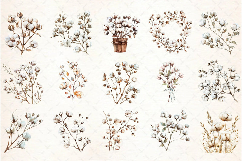 Cotton Branches Clipart Bundle - CraftNest - Digital Crafting and Art