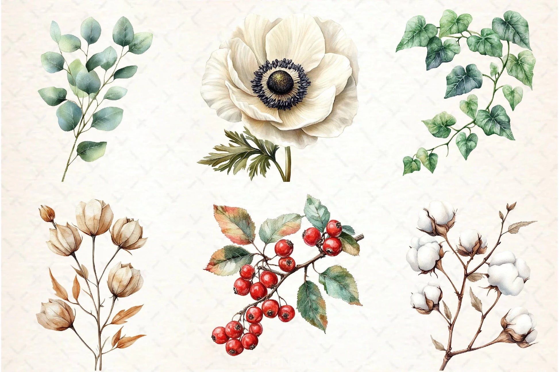 Vintage Botanical Clipart Bundle 3 - CraftNest - Digital Crafting and Art