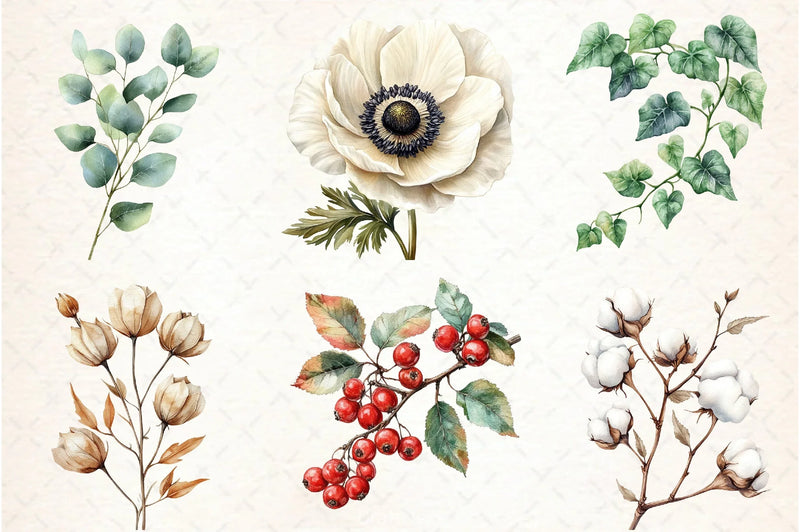 Vintage Botanical Clipart Bundle 3 - CraftNest - Digital Crafting and Art