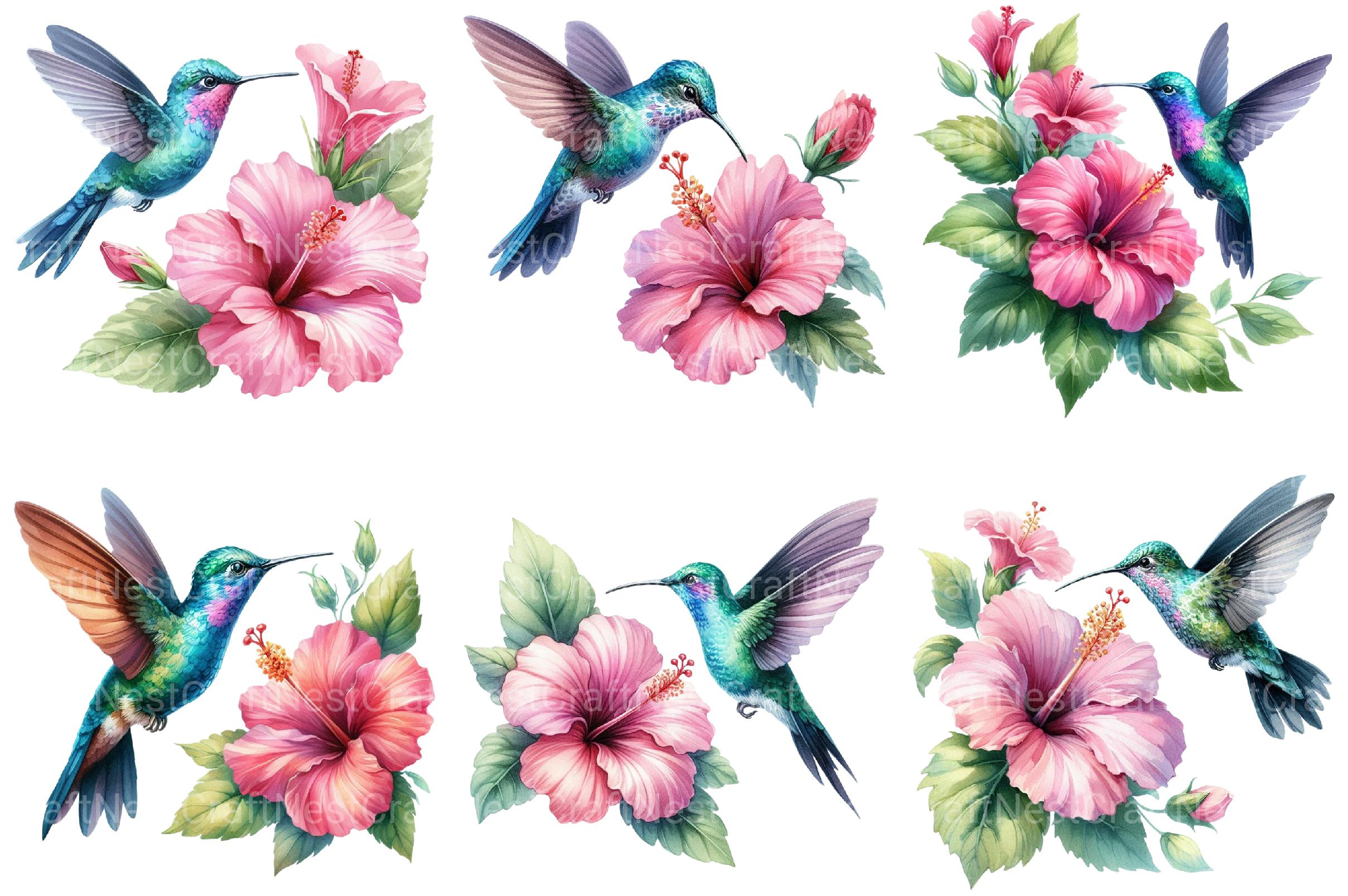 Floral Hummingbirds Clipart