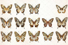 Leopard Butterfly Clipart Bundle - CraftNest - Digital Crafting and Art