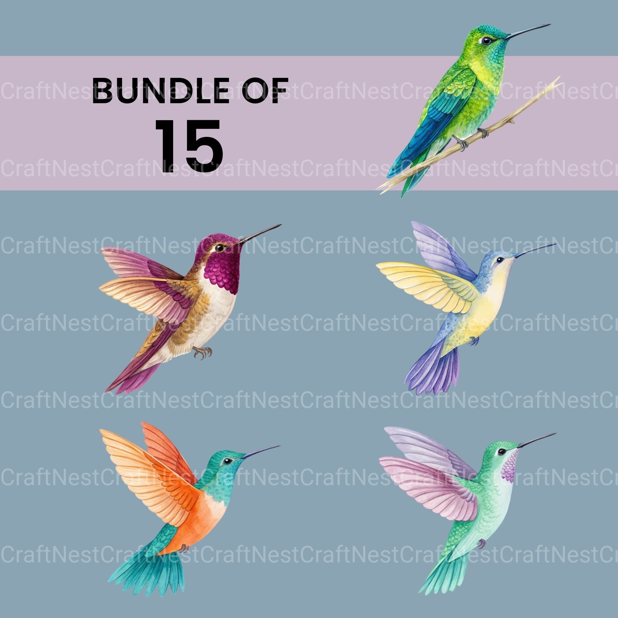 Hummingbirds Clipart Bundle