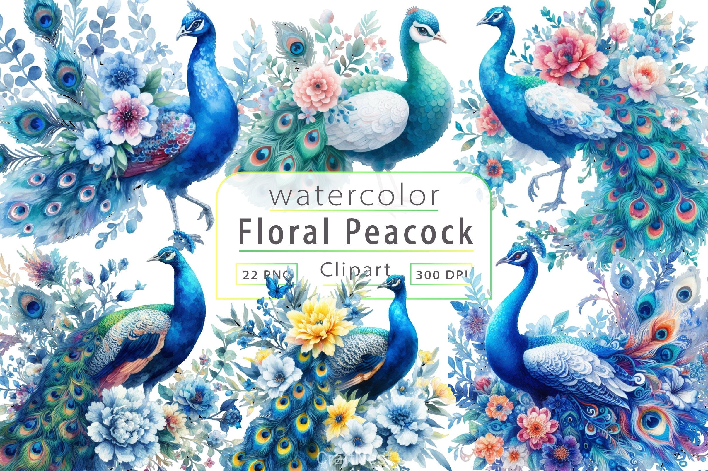 Floral Peacock Clipart Bundle
