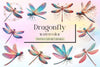 Dragonfly Clipart Bundle 4