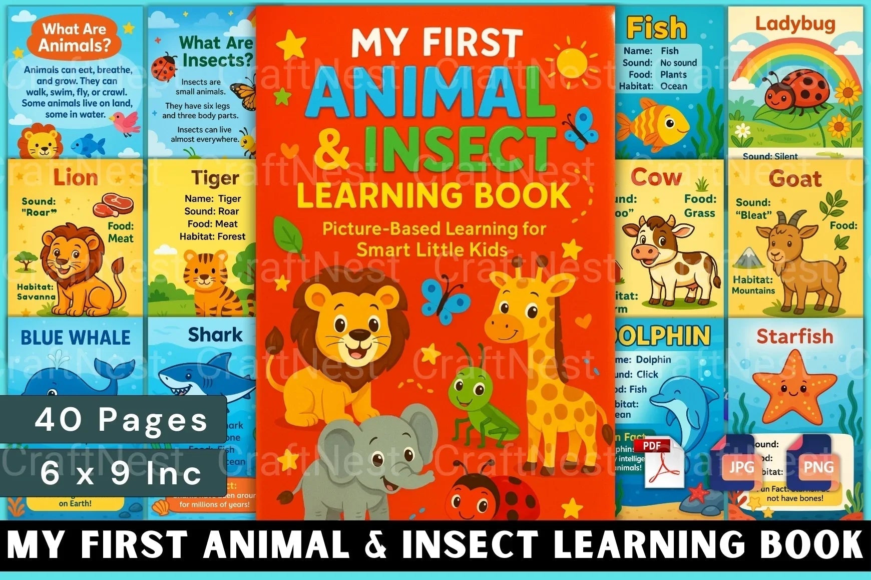 My First Insect Learning Book for Kids - CraftNest - Digital Crafting and Art
