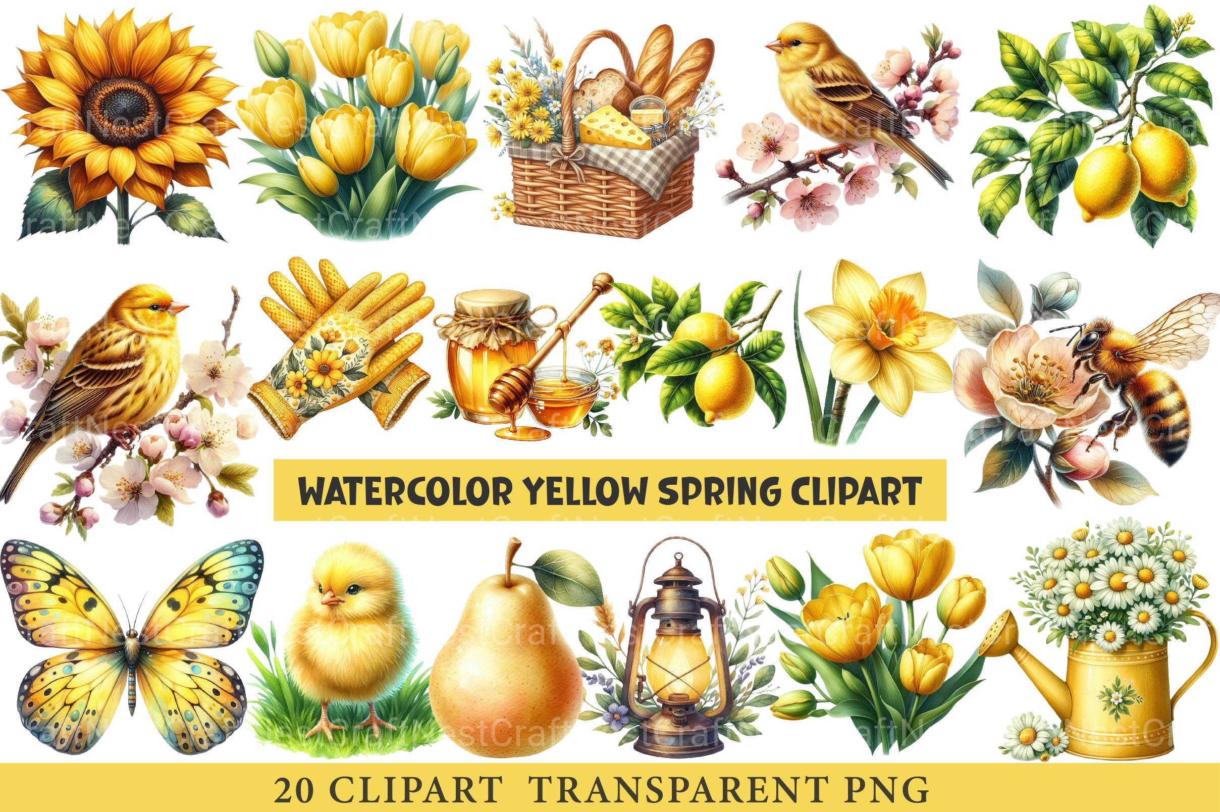 Yellow Spring Clipart