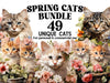 Spring Cats