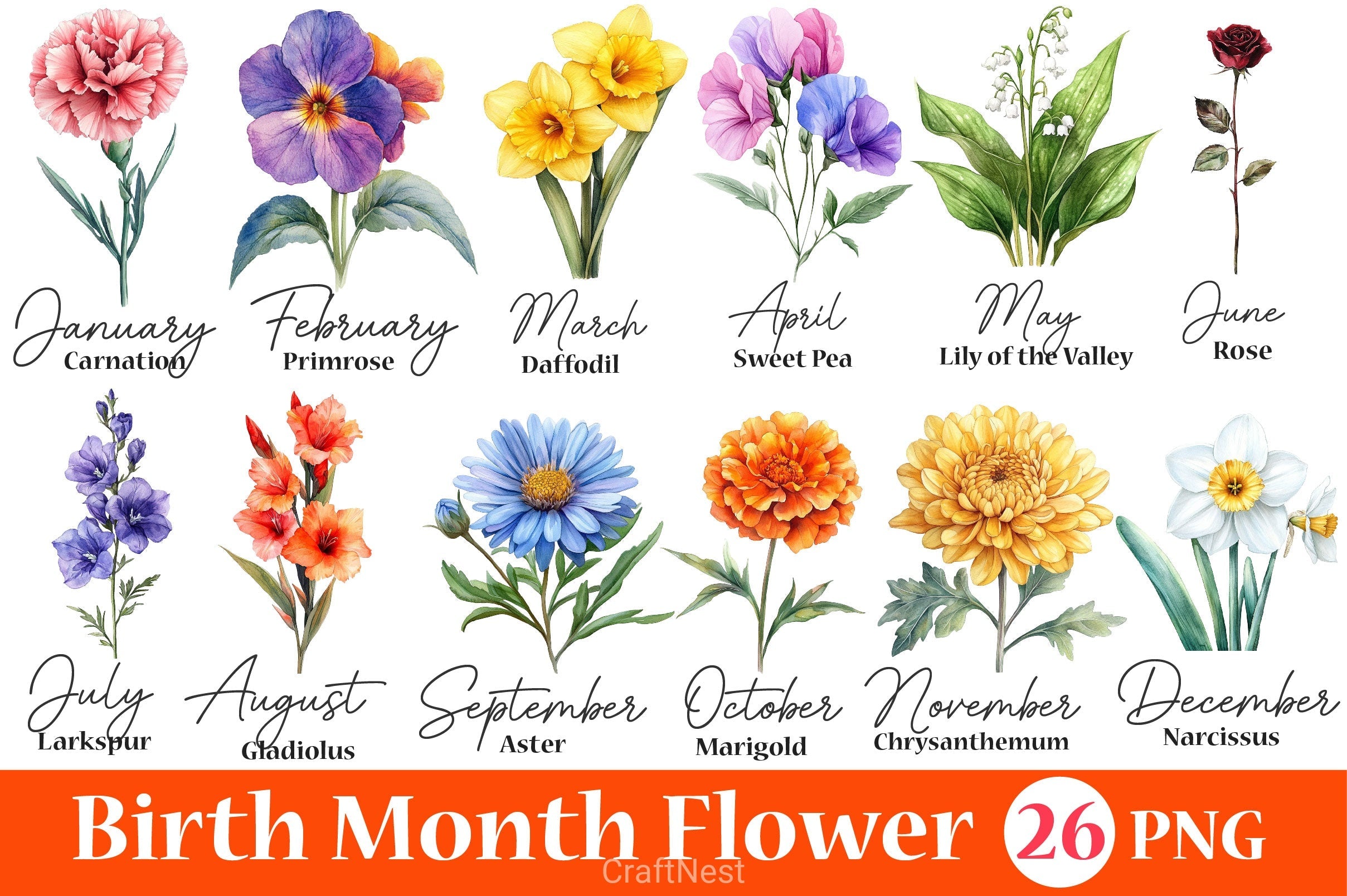 26 Birth Month Flowers Clipart Bundle