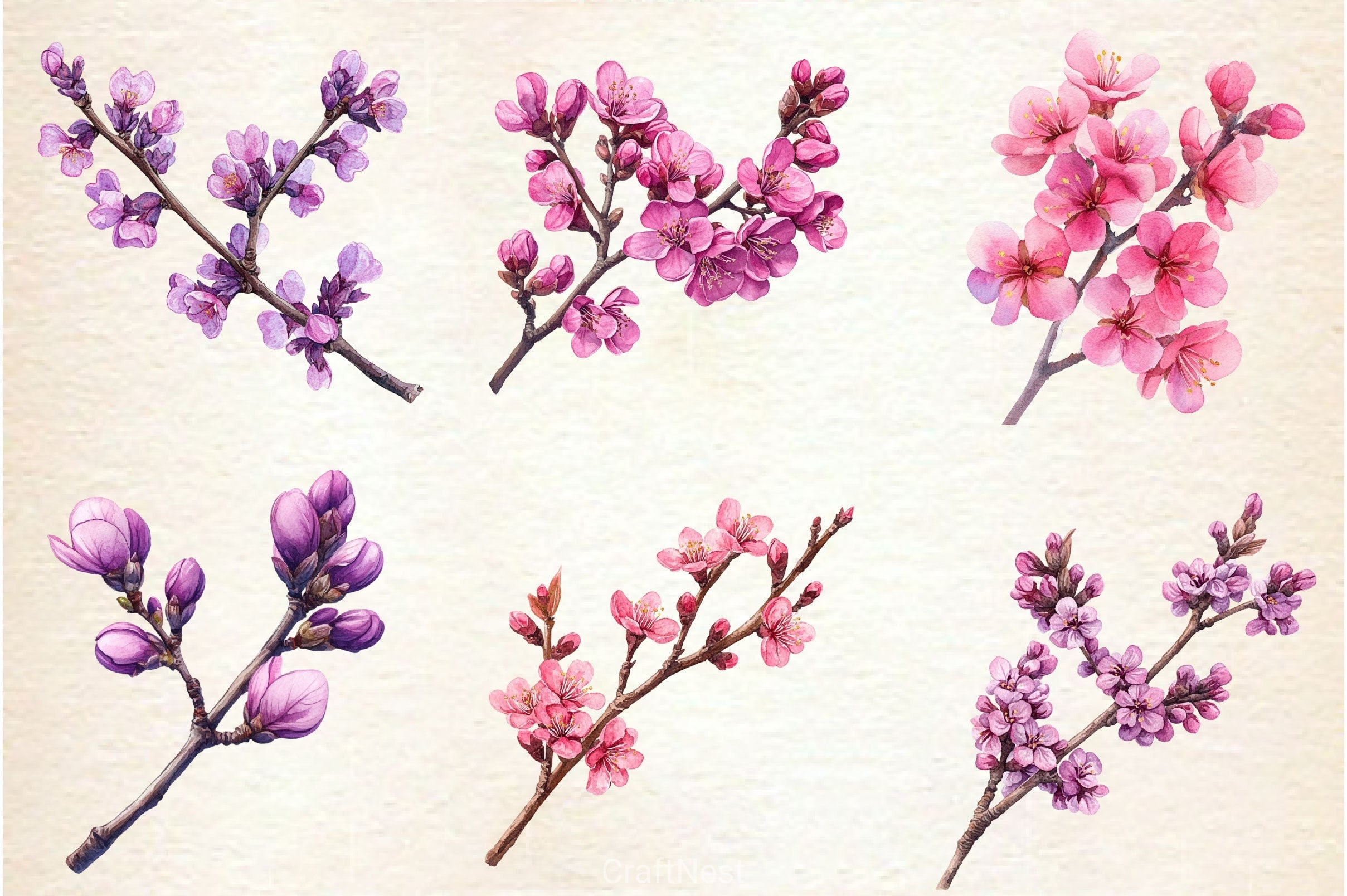 Spring Redbud Flower Clipart Bundle 2