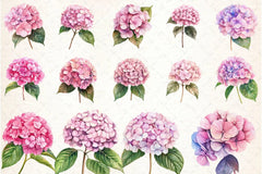 Hydrangea Clipart Bundle 12 - CraftNest - Digital Crafting and Art