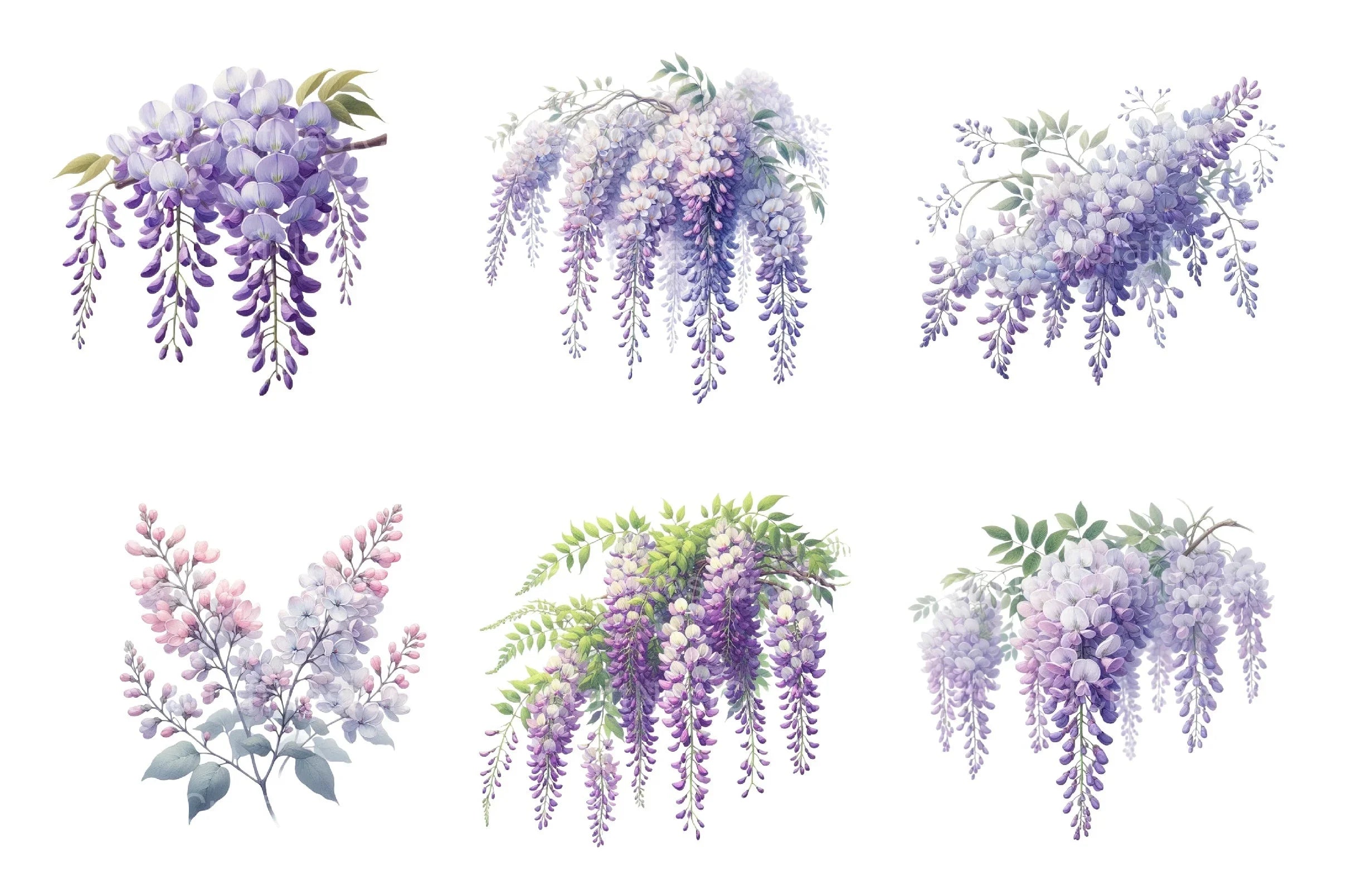 Wisteria Floral Garden Clipart Bundle - CraftNest - Digital Crafting and Art