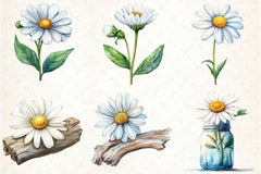 Daisy Clipart Bundle 2 - CraftNest - Digital Crafting and Art