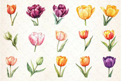 Tulip Flower Clipart Bundle - CraftNest - Digital Crafting and Art