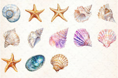 Sea Shells Clipart Bundle - CraftNest - Digital Crafting and Art