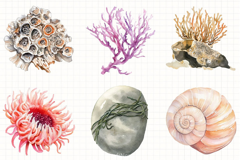 Underwater Clipart Bundle 6 - CraftNest - Digital Crafting and Art
