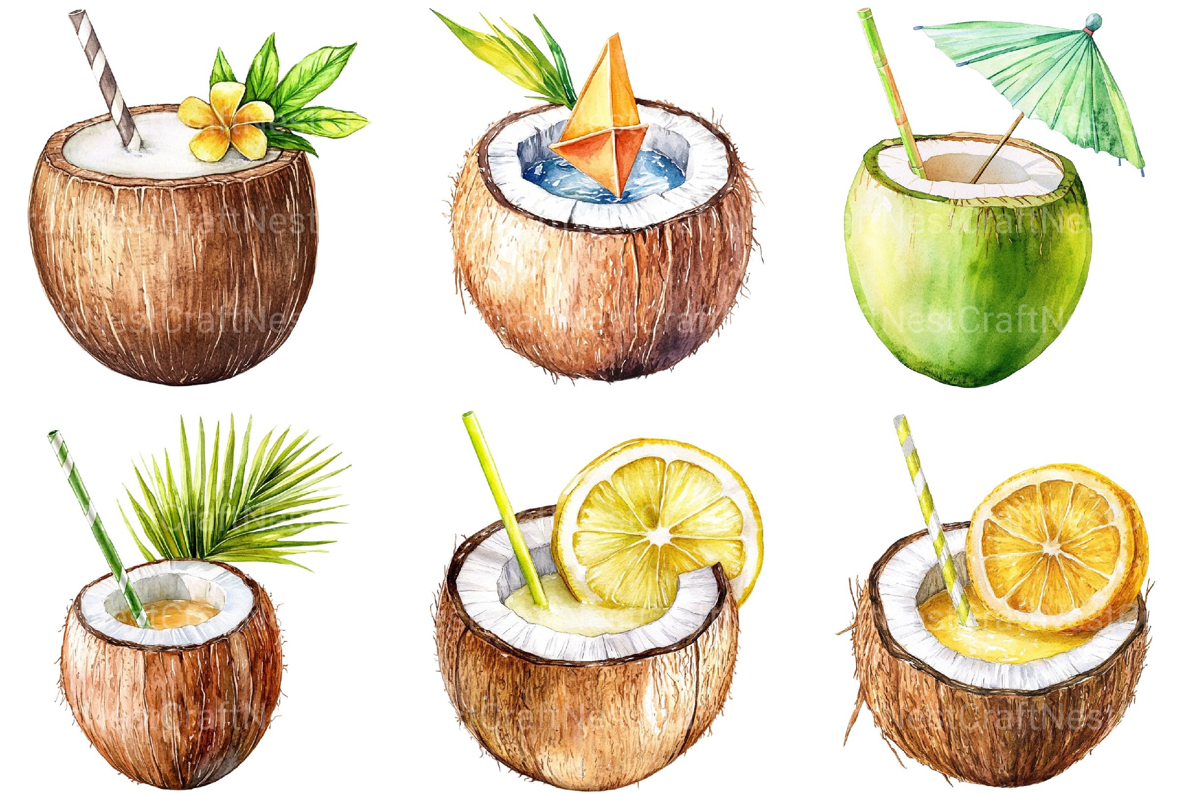 Coconut Drink Clipart