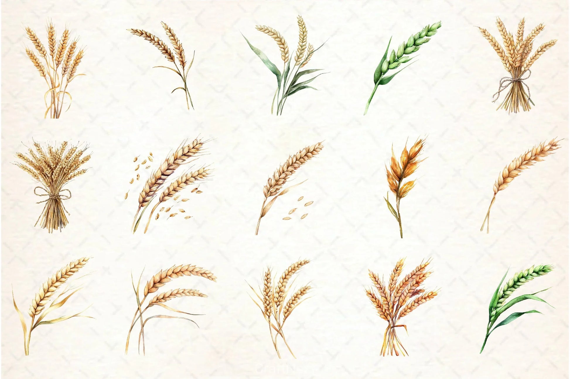 Wheat Clipart Bundle - CraftNest - Digital Crafting and Art