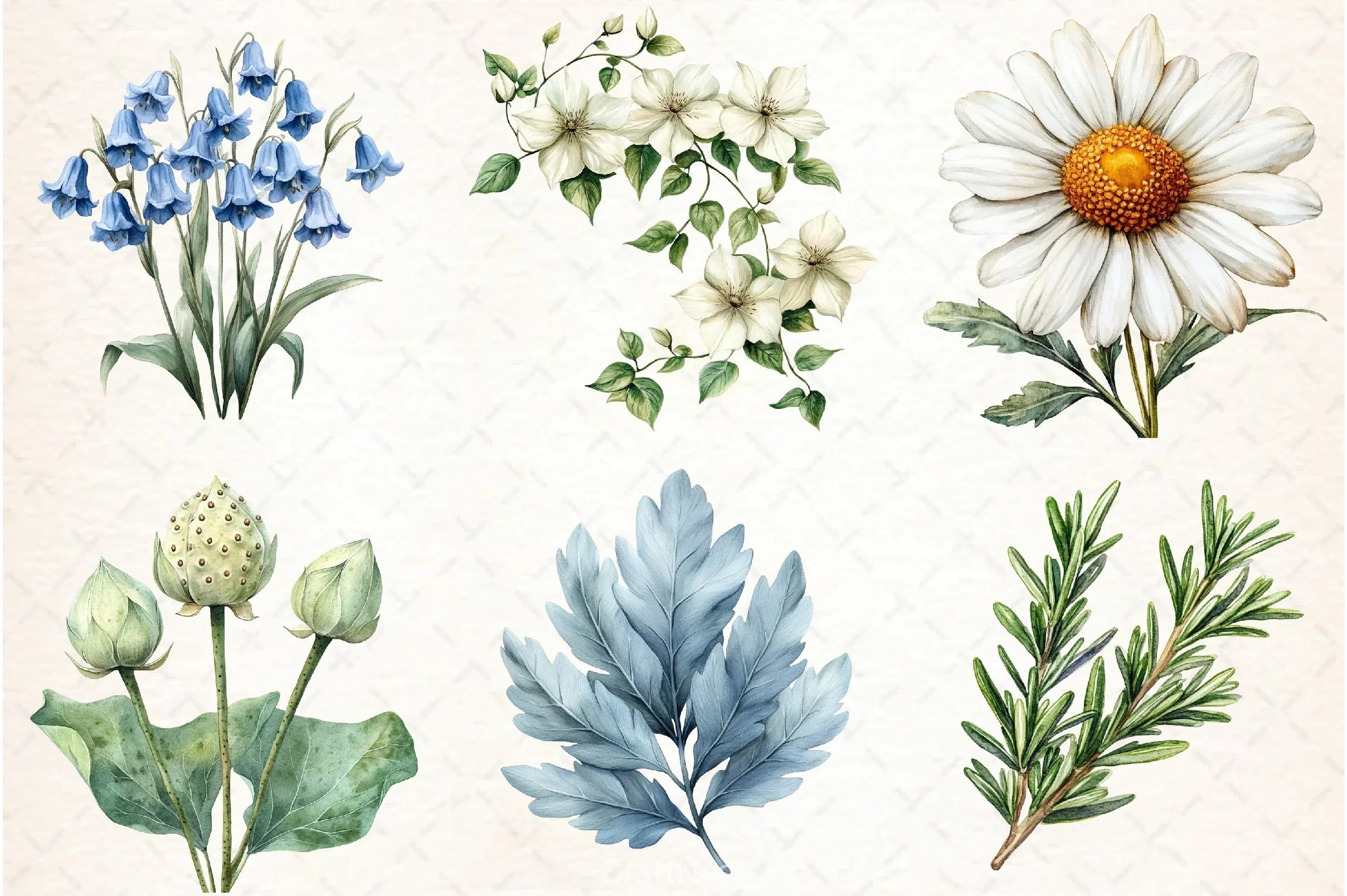 Vintage Botanical Clipart Bundle 3 - CraftNest - Digital Crafting and Art
