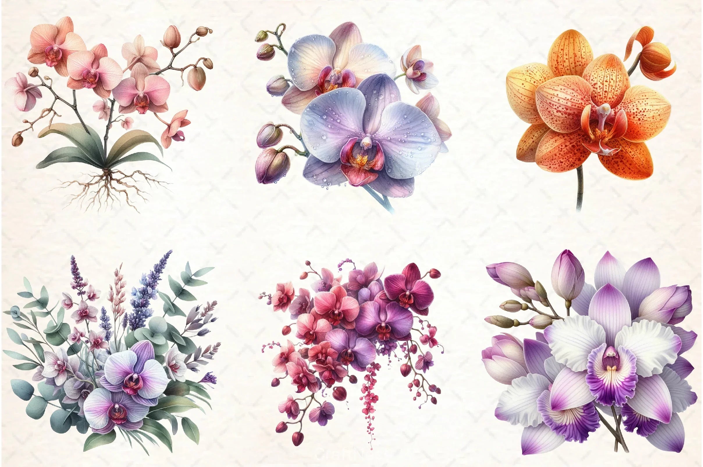 Orchid Clipart Bundle 4 - CraftNest - Digital Crafting and Art