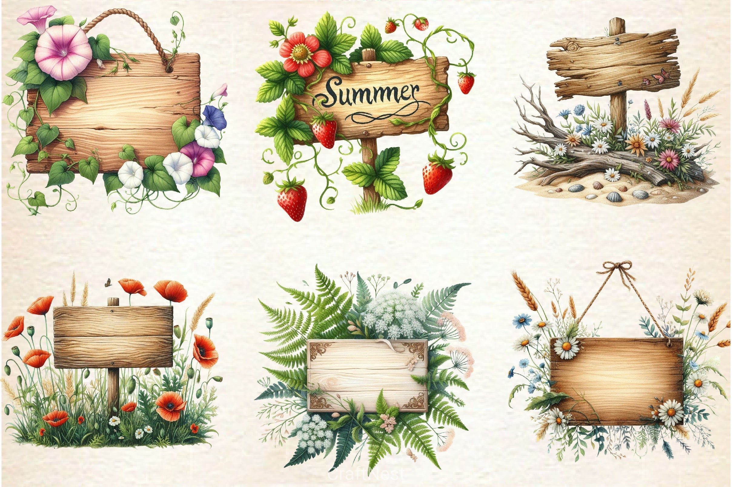 Summer Empty Sign Wildflowers Clipart Bundle 2