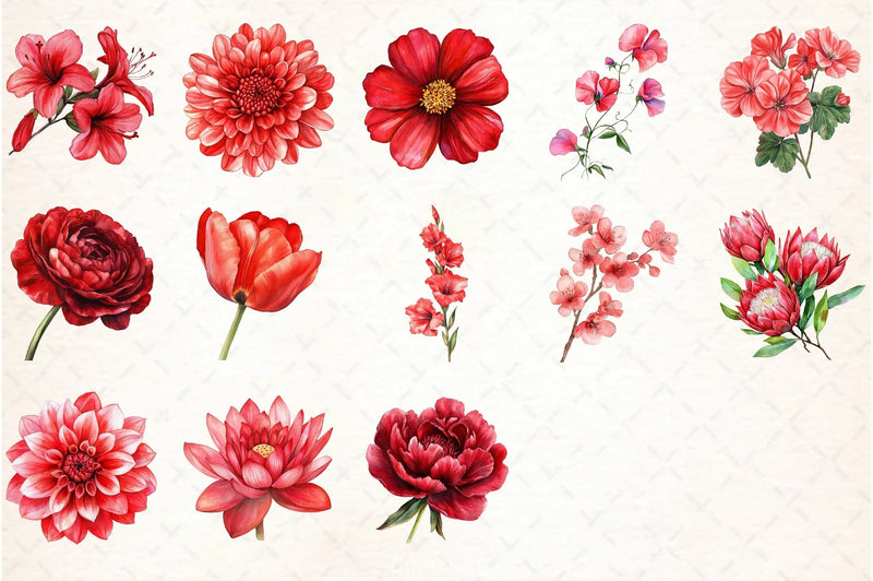 Red Flowers Clipart Bundle - CraftNest - Digital Crafting and Art