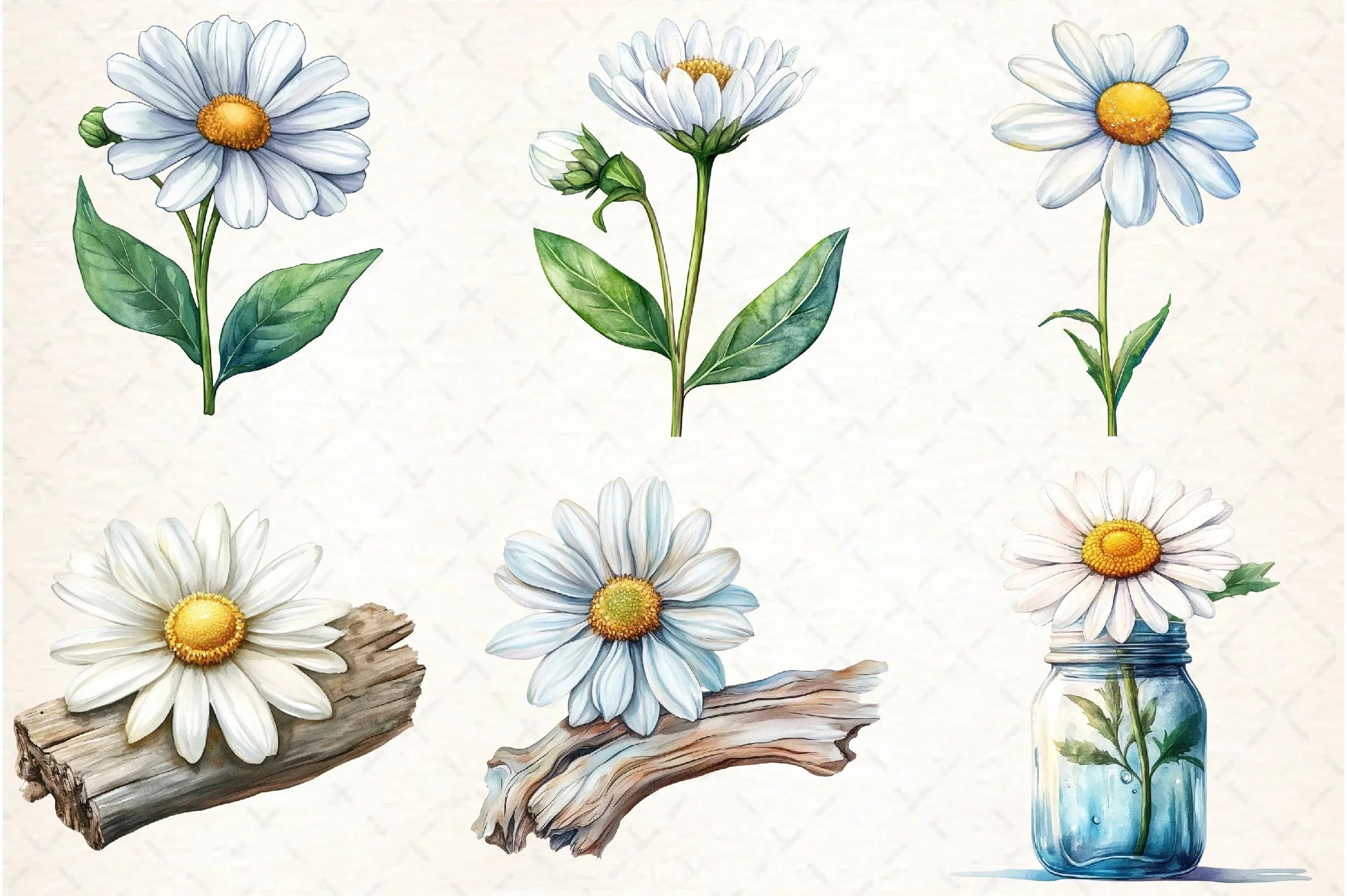 Daisy Clipart Bundle 1 - CraftNest - Digital Crafting and Art