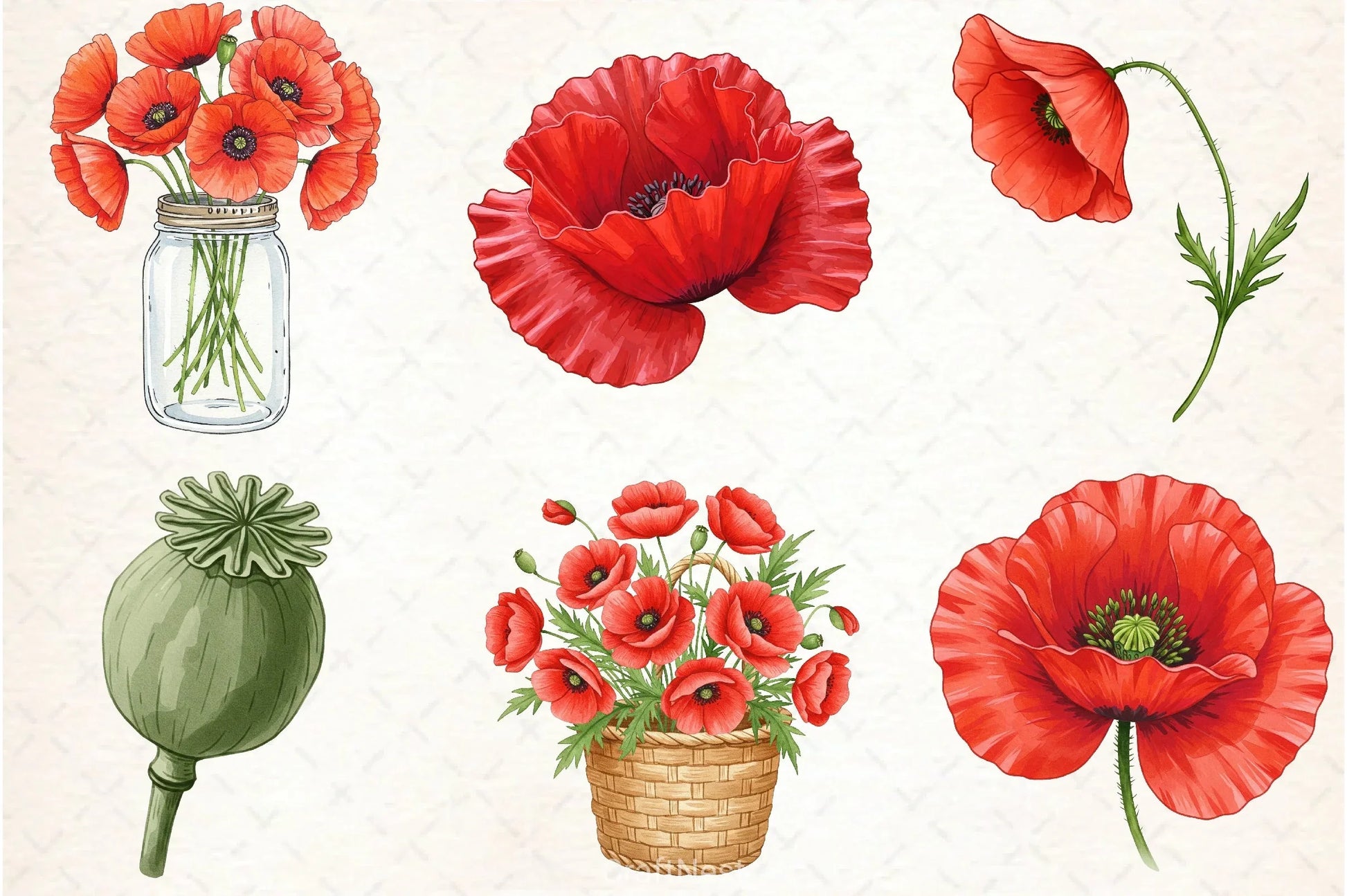 Poppies Clipart Bundle 1 - CraftNest - Digital Crafting and Art