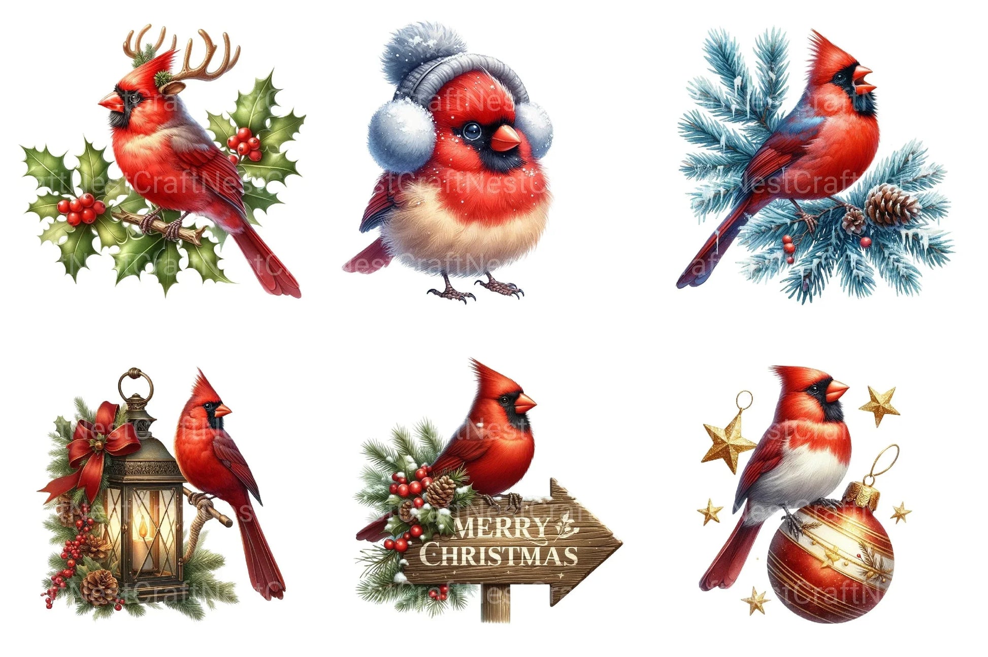 Red Cardinal Christmas Birds Clipart Bundle - CraftNest - Digital Crafting and Art