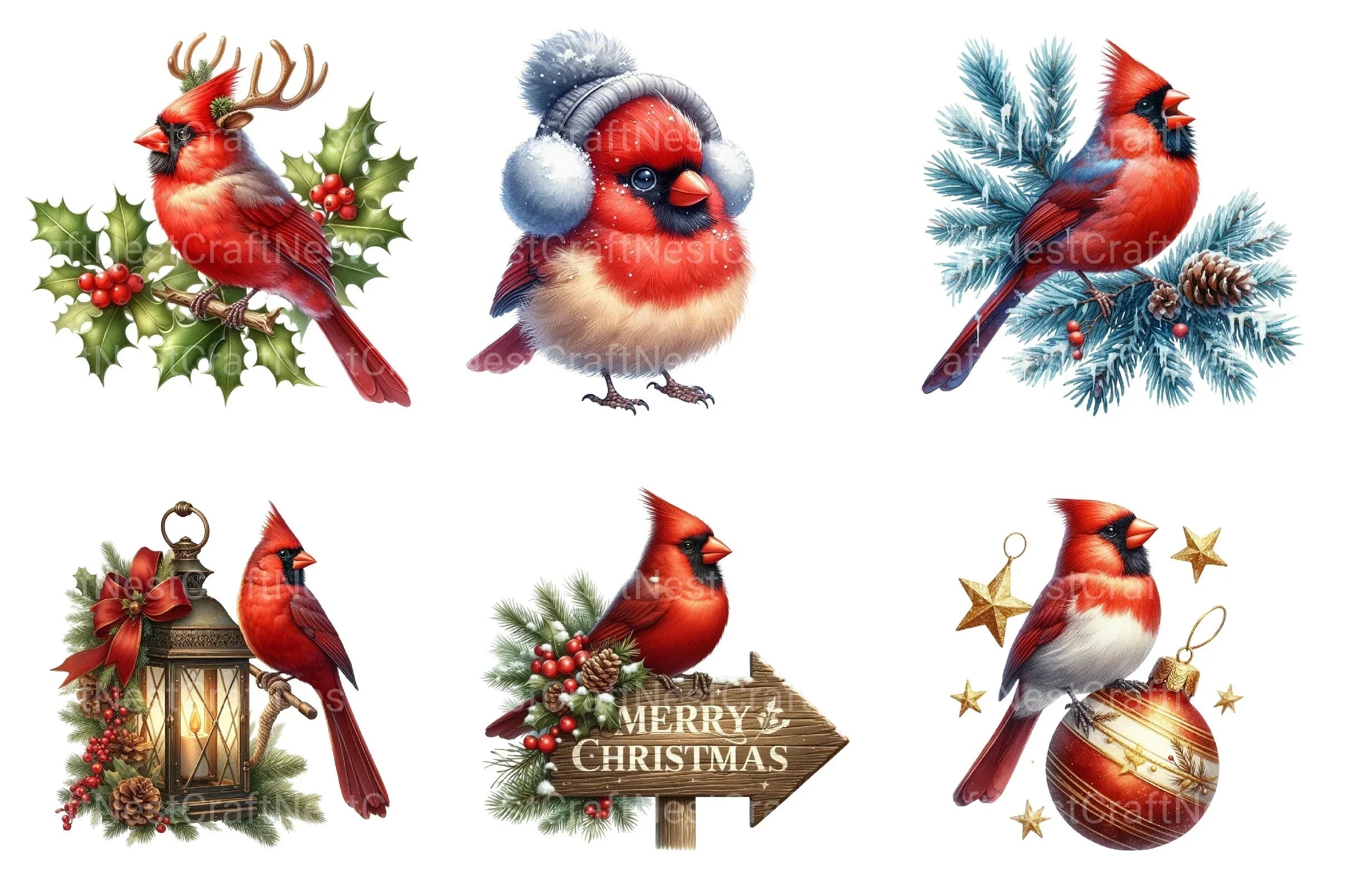 Red Cardinal Christmas Birds Clipart Bundle - CraftNest - Digital Crafting and Art