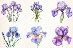 Iris Flower Clipart Bundle - CraftNest - Digital Crafting and Art