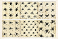Halloween Spiders Digital Paper Pack - CraftNest - Digital Crafting and Art