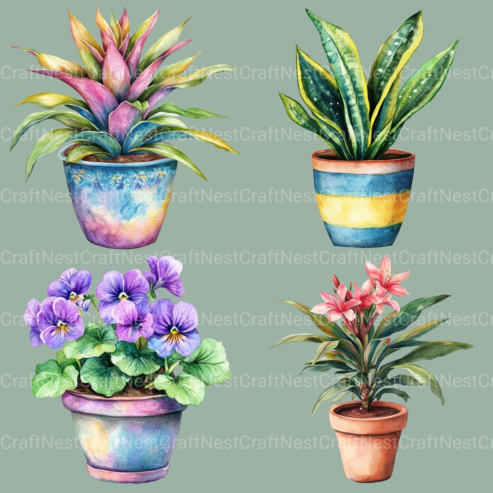 Houseplants Clipart Bundle