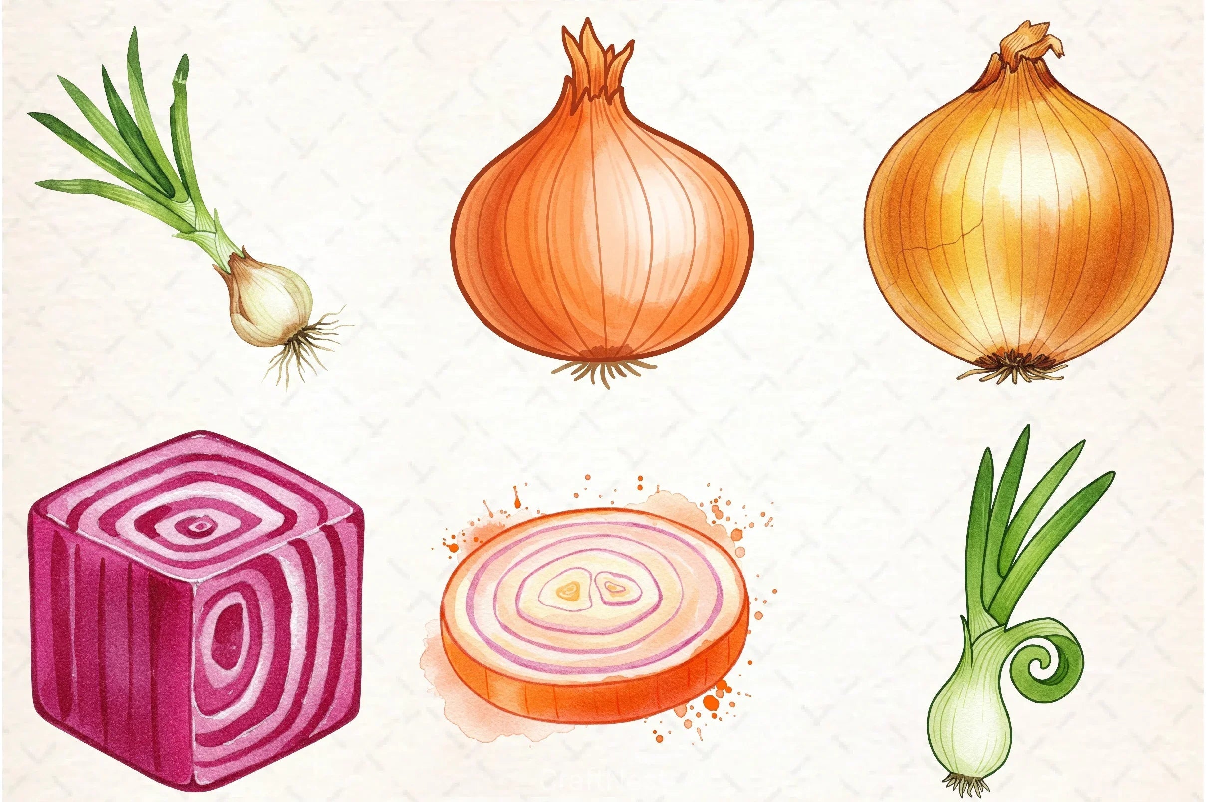 Onion Clipart Bundle 1 - CraftNest - Digital Crafting and Art