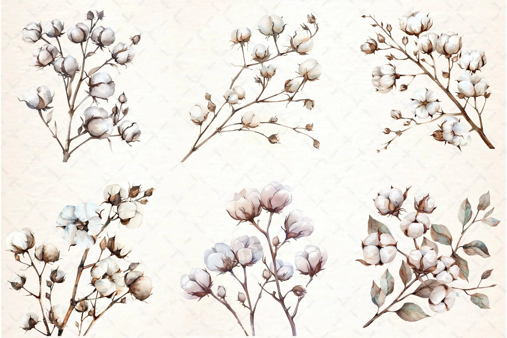 Cotton Branches Clipart Bundle - CraftNest - Digital Crafting and Art