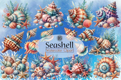 Seashell Clipart Bundle - CraftNest - Digital Crafting and Art
