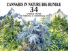 Cannabis in Nature