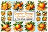 Quarter Orange Clipart Bundle
