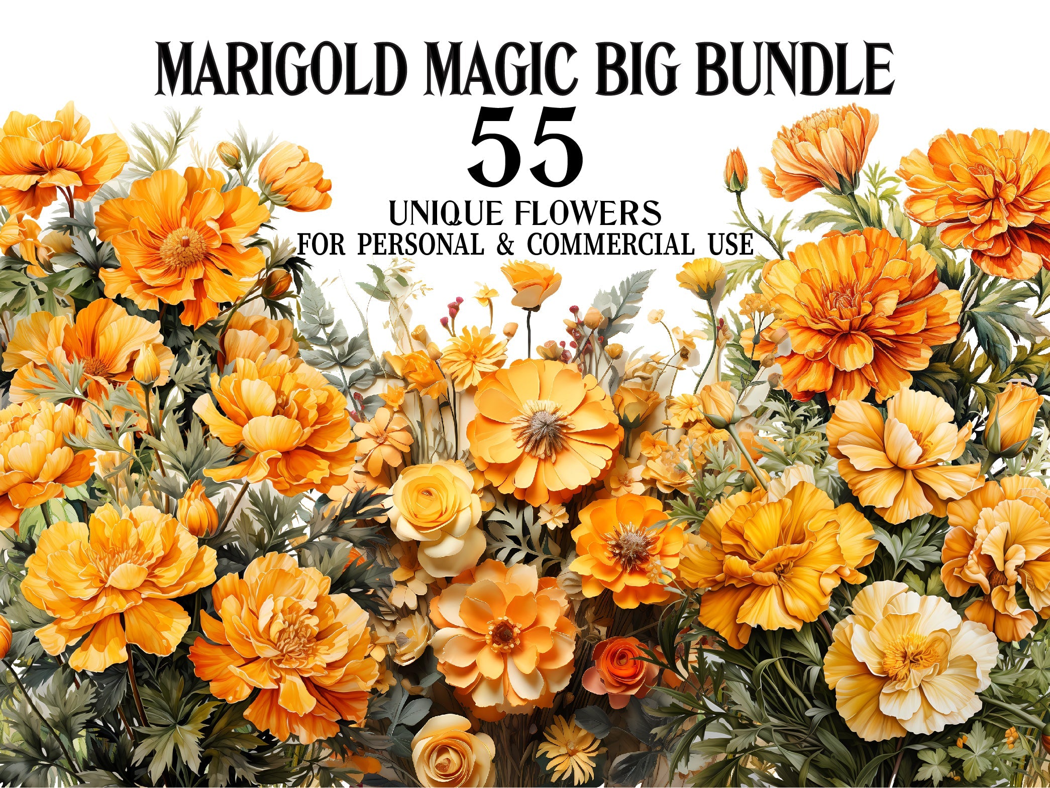 Marigold Magic