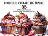 Chocolate Cupcakes
