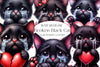 Broken Black Cat Clipart Bundle